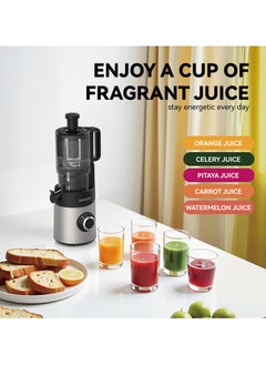 Dxmocos DXMOCOS Slow Juicer, Cold Press Masticating Juicer for Fruits & Vegetables, High Juice Yield, Quiet Motor, Easy to Clean, with Pulp Separation & Juice Cup, Ideal for Healthy Homemade Drinks  - Image 3