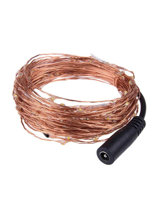 NIBEMINENT Copper Wire String Lights Warm white 10meter