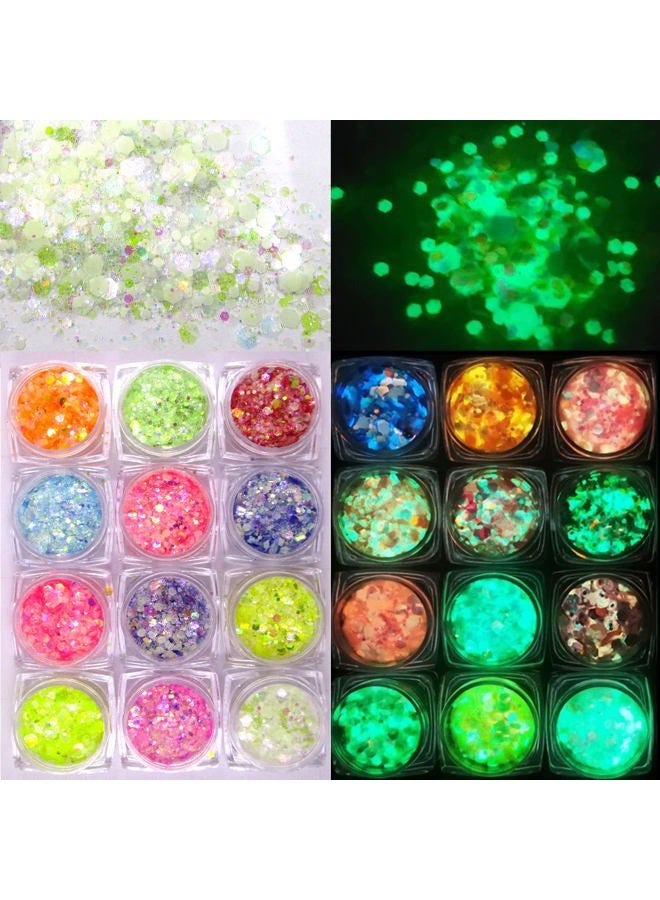 LuckForever 12 Colors Night Glow Chunky Glitters Flakes Luminous Neon Powder Glitter Sequins for Acrylic Nails/Crafts/Resin/Makeup/Festival/Slime - Image 1