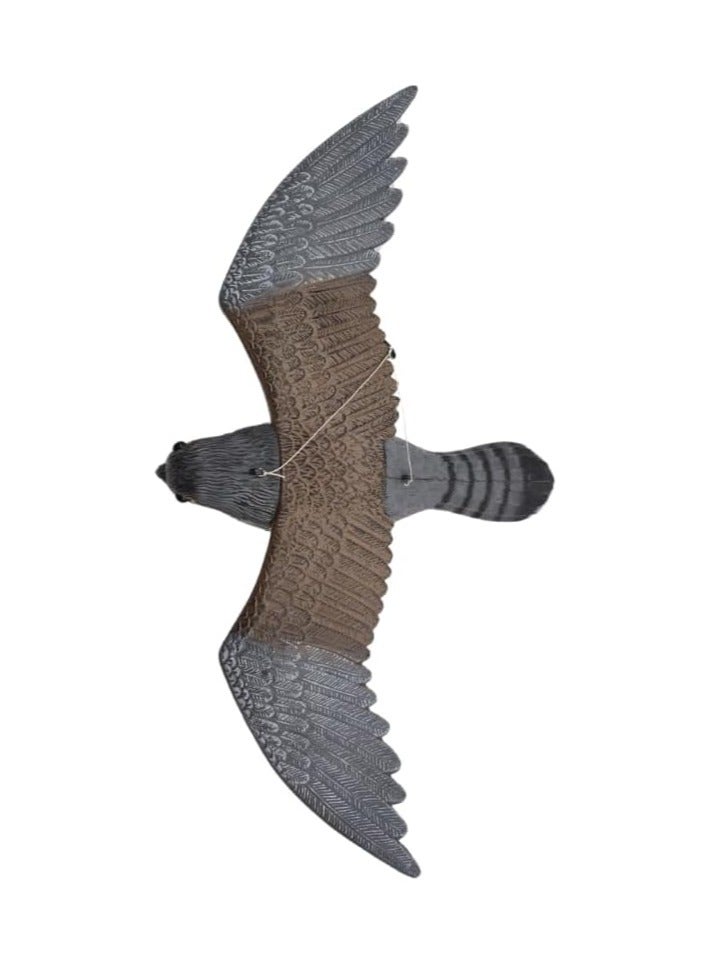 Generic Bird Scarer – Realistic Fake Eagle Scarecrow for Garden Protection, Bird Repellent Decoy for Outdoor Use – 54cm x 37cm x 9cm – Visual Deterrent to Keep Birds Away  - Image 1