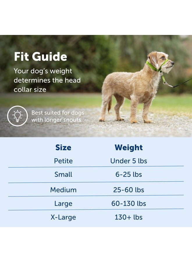 PetSafe Gentle Leader No-Pull Dog Headcollar - The Ultimate Solution to Pulling - Redirects Your Dog's Pulling for Easier Walks - Helps You Regain Control - Small, Royal Blue - Image 5