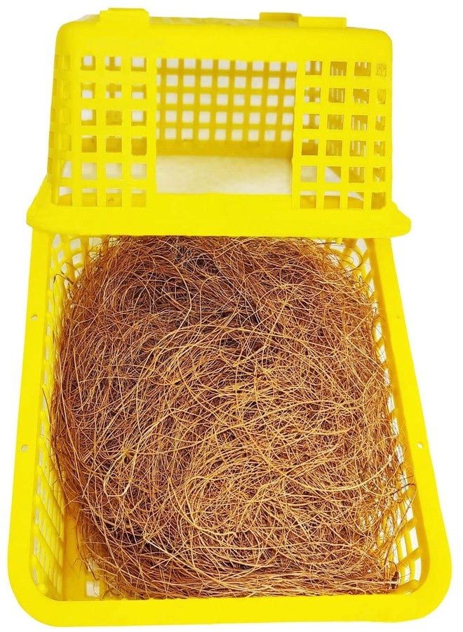 سكاي صندوق تكاثر طيور سكاي بيردز، سلة عش للعصافير، منزل مناسب للعصافير الصغيرة (عبوة من قطعتين) - Image 4