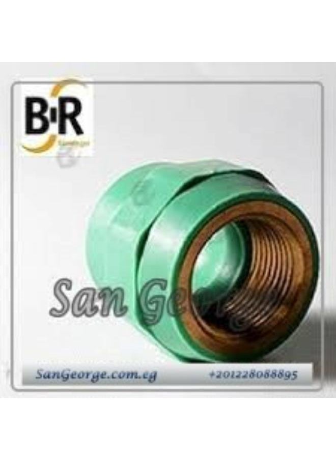 Banninger - BR female thread bushing, internal thread connector, diameter 40 mm (1.5 "inch) - Image 1