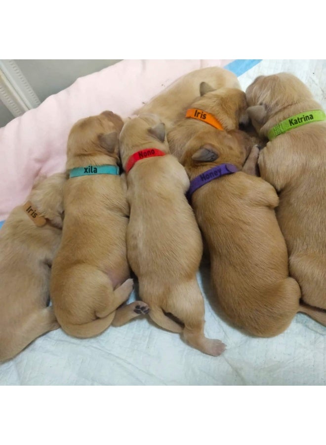 30 Pack Newborn Puppy Collars, Puppy ID Collars, Safe and Skin Friendly, Soft and Comfortable, Won't Scratch Pet Skin, Not Easy to Fall Off, Perfect for Newborn Puppies, Kittens or Other Small Animals - Image 3