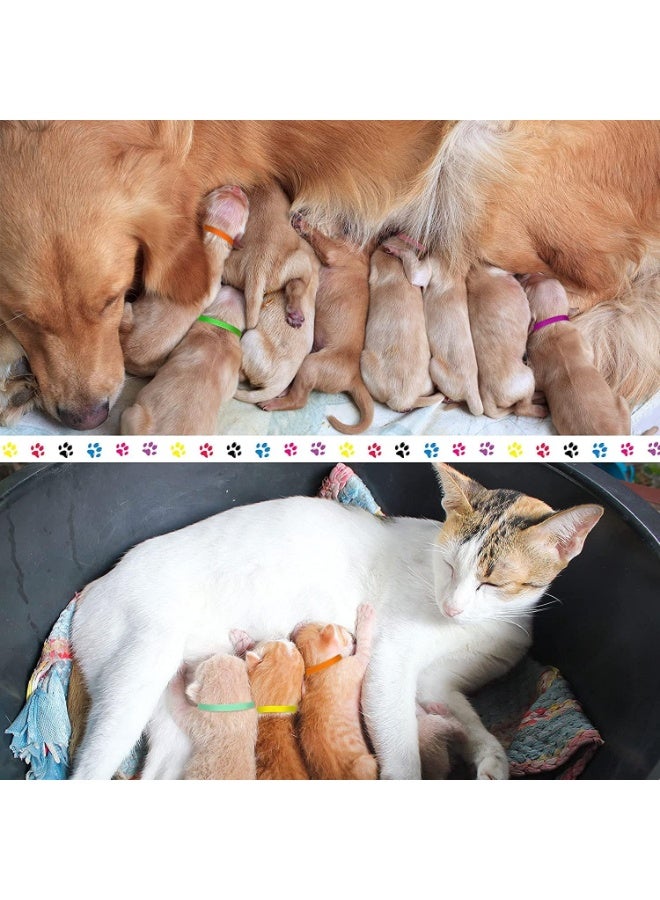 30 Pack Newborn Puppy Collars, Puppy ID Collars, Safe and Skin Friendly, Soft and Comfortable, Won't Scratch Pet Skin, Not Easy to Fall Off, Perfect for Newborn Puppies, Kittens or Other Small Animals - Image 5