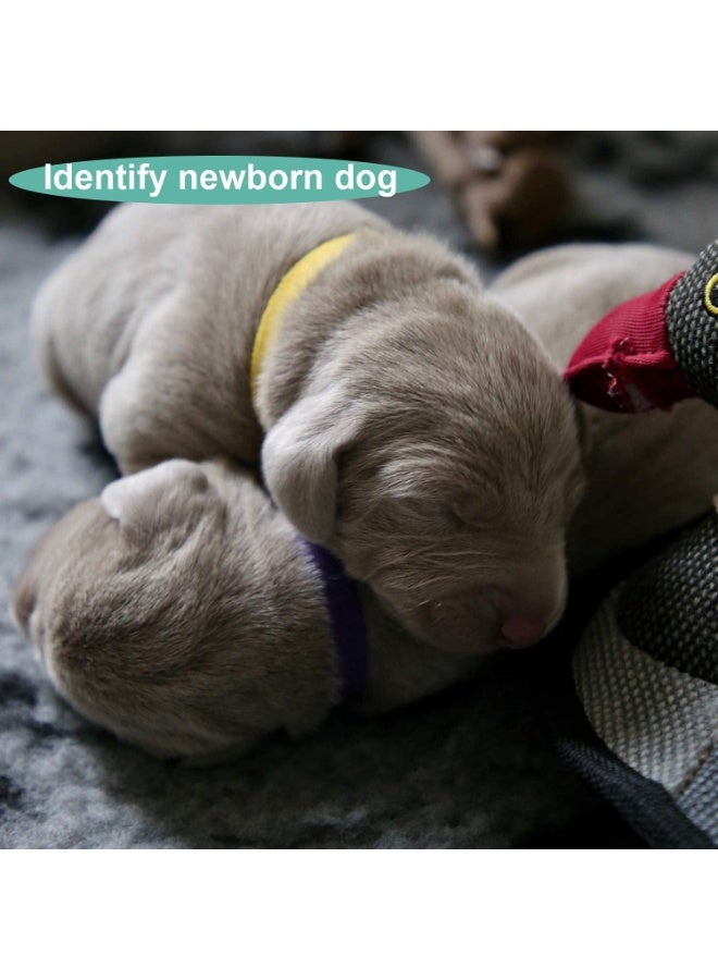 30 Pack Newborn Puppy Collars, Puppy ID Collars, Safe and Skin Friendly, Soft and Comfortable, Won't Scratch Pet Skin, Not Easy to Fall Off, Perfect for Newborn Puppies, Kittens or Other Small Animals - Image 4
