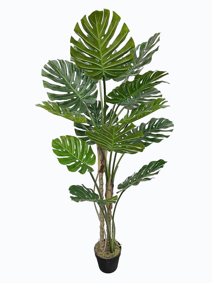 FOX FERN Monstera Deliciosa Artificial Plant GAJW3316 with Basic Pot Elevate Any Corner of Your HomeOffice Ornamental Plant Best for Gifting Party Home Decor Pack of 1 Ht 150CM