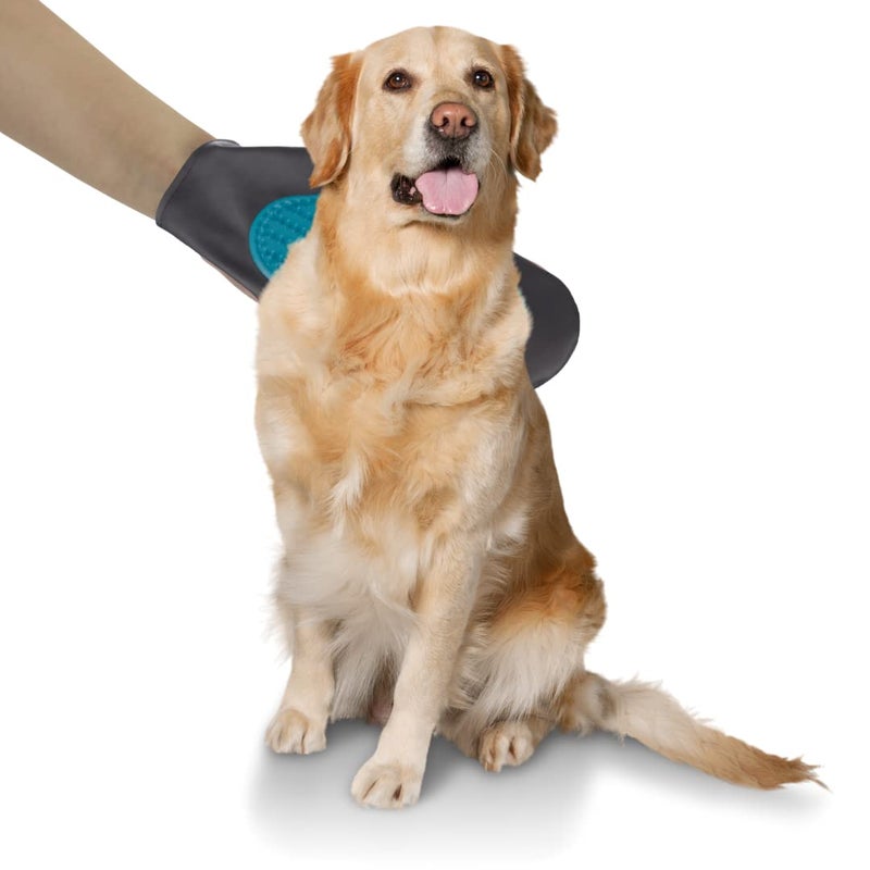 Trixie: - Grooming Glove | Grooming Glove for Dogs and Cats | Grooms Your Pet While You Pet Them | Detangles and Removes Loose Hair | Also Suitable for Sensitive and Young Animals - 25 x 14 cm - Image 5