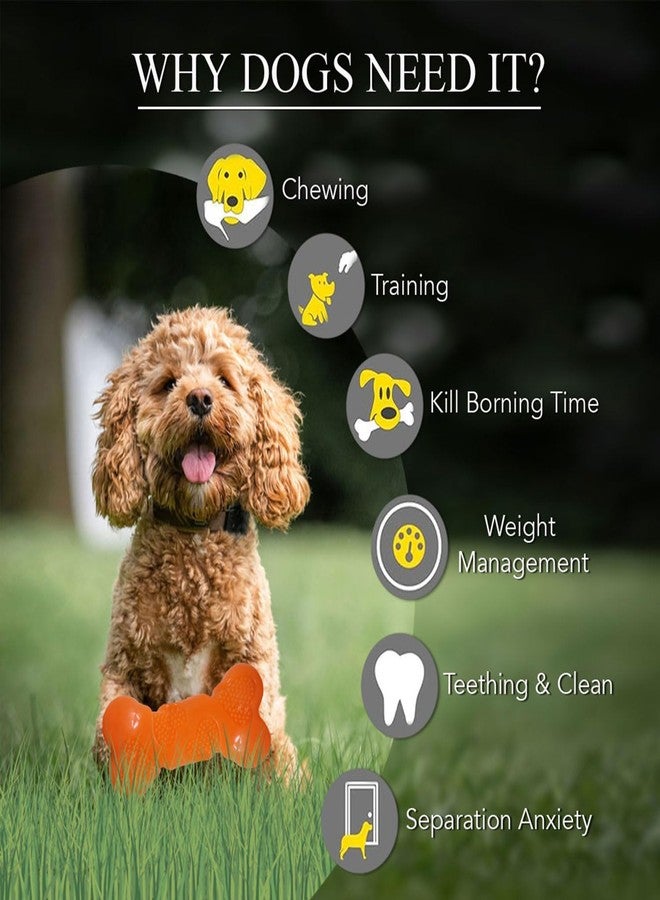 Plushmate EE Toys Squeaky Delights - Dental Bone with Squeaker Toy Chew Bone for Dogs and Puppies - Medium - Image 5
