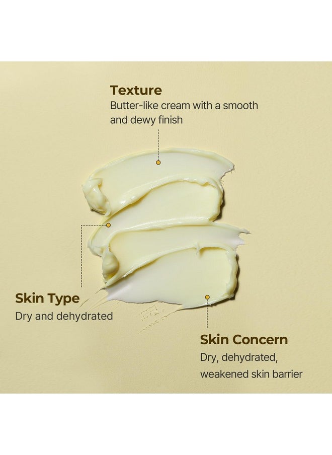 Torriden Torriden SOLID IN Ceramide Cream 70ml (2.36 fl. oz.) | Ceramide Moisturizer for Healthy Skin Barrier, Soothing, Nourishing | 5 types of Ceramide, Allantoin, Panthenol  - Image 2