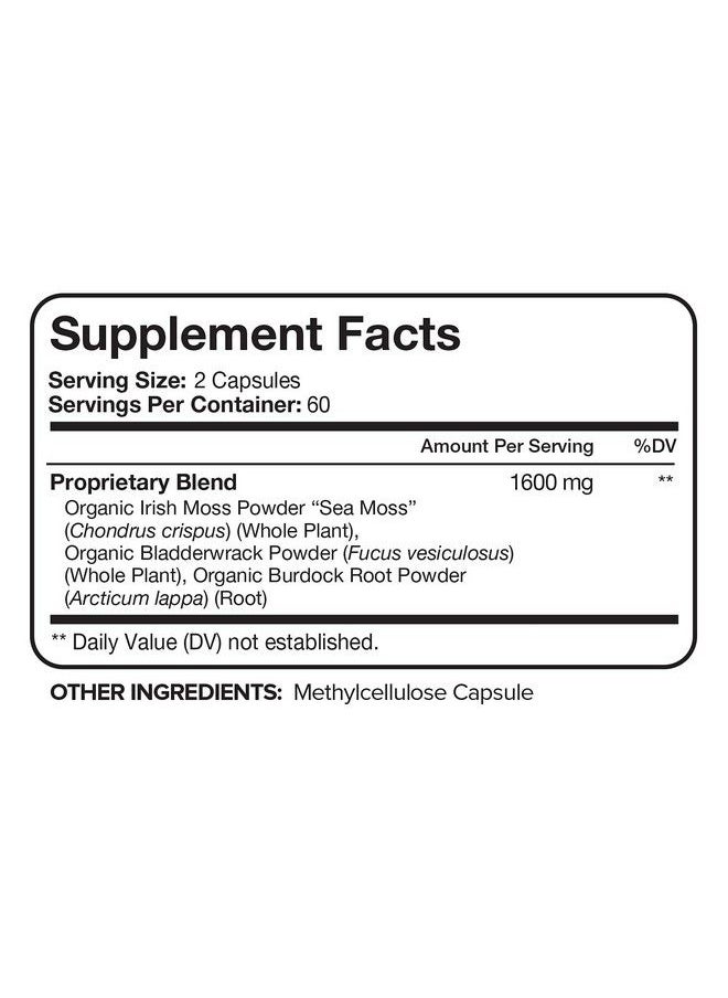 Nutrivein - Organic Sea Moss 1600Mg Plus Bladderwrack & Burdock 120 Capsules Prebiotic Super Food Boosts The Immune System & Digestive Health Thyroid Healthy Skin Keto Detox Gut Joint Support - Image 1
