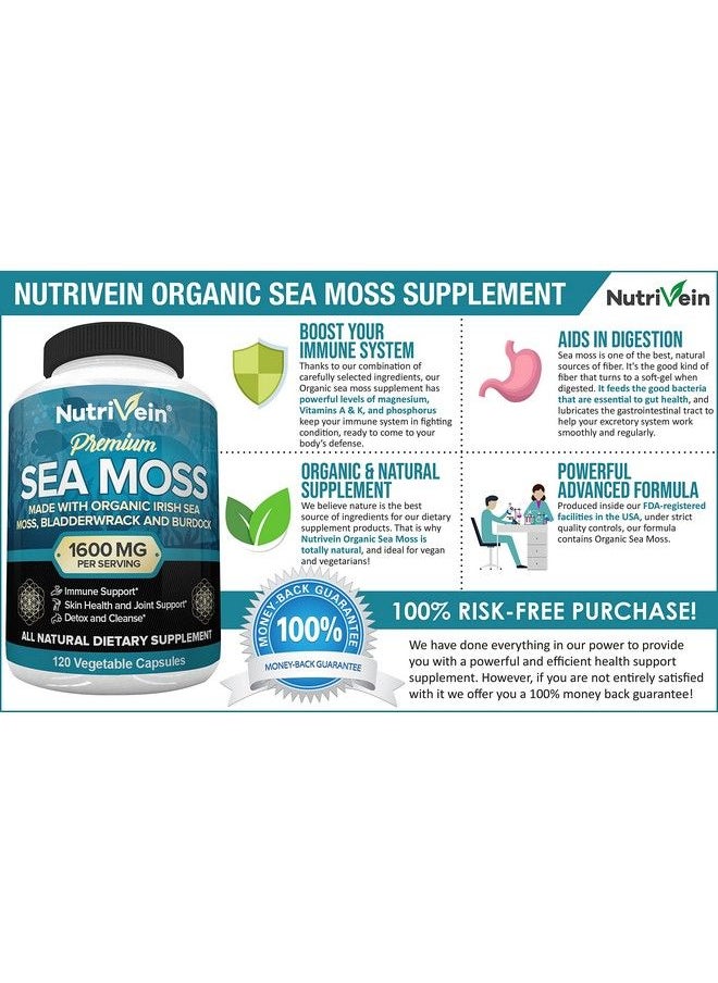 Nutrivein - Organic Sea Moss 1600Mg Plus Bladderwrack & Burdock 120 Capsules Prebiotic Super Food Boosts The Immune System & Digestive Health Thyroid Healthy Skin Keto Detox Gut Joint Support - Image 1