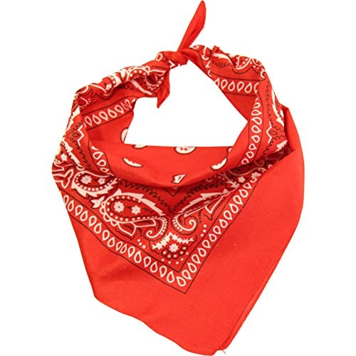 Making Believe Kids Western Rodeo Cowboy or Cowgirl Classic Costume Set - Vest, Red Hat, Bandanna - Size 4-6 - Image 5