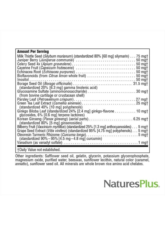 Natures Plus Regeneration Multivitamin - 90 Softgels - with Potent Botanical Extracts, Minerals & Antioxidants - Natural Energy Production & Overall Well-Being - Gluten-Free - 30 Servings - Image 5