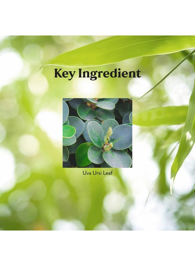 NATURE'S SUNSHINE Uva Ursi (100) - Image 5