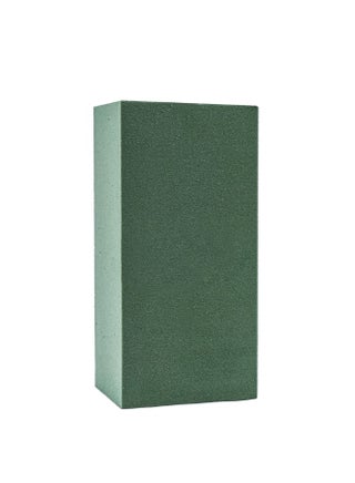 Oasis Long Life Flower Foam, Green, 23cm x 11cm x H8cm – Durable Floral Foam for Fresh and Artificial Flower Arrangements - pzsku/ZE3929653FDA6AAD96369Z/45/_/1728373424/94d97f85-1619-4968-957b-1c5f96f5e430