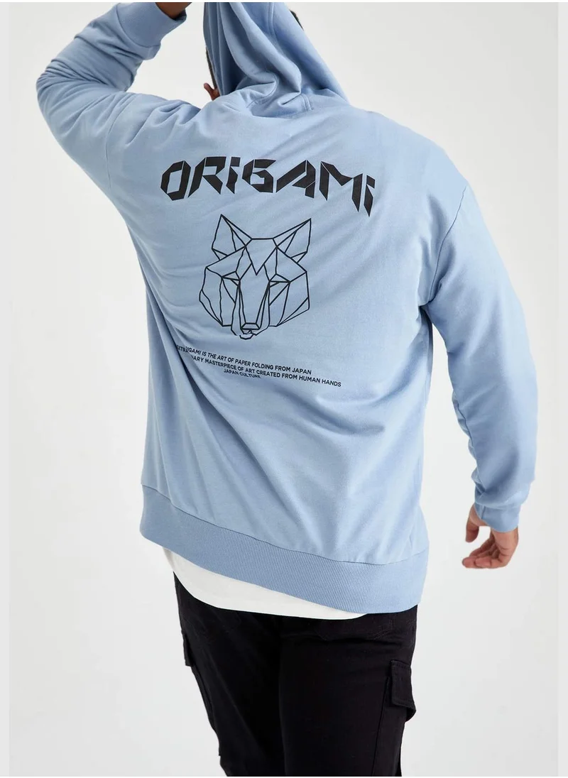 DeFacto Origami Printed Long Sleeve Hoodie