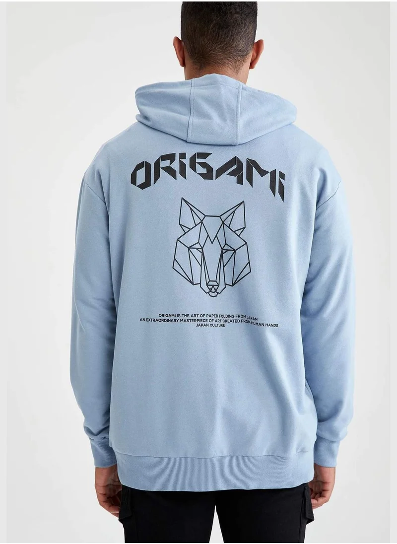 DeFacto Origami Printed Long Sleeve Hoodie
