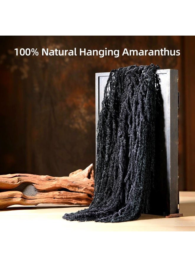 Jtoder 5Pcs Dried Amaranthus Hanging Flowers, Natural Preserved Flower for Wedding Arch, Exhibition, Wall Hanging Lover Tears, Floral Arrangement, Home Decor (Black, 24") - Image 2
