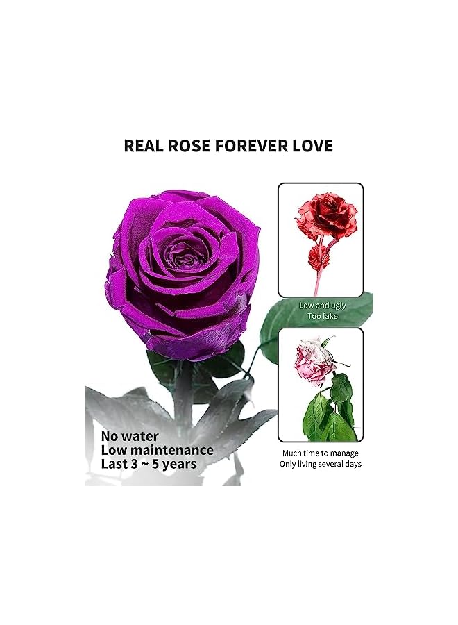 The Bros Preserved Rose Eternal Enchanted Rose, Single Rose Flower Gifts for Women, Real Rose Gifts for Birthday, Valentines Flowers for Female (Purple) - Image 3