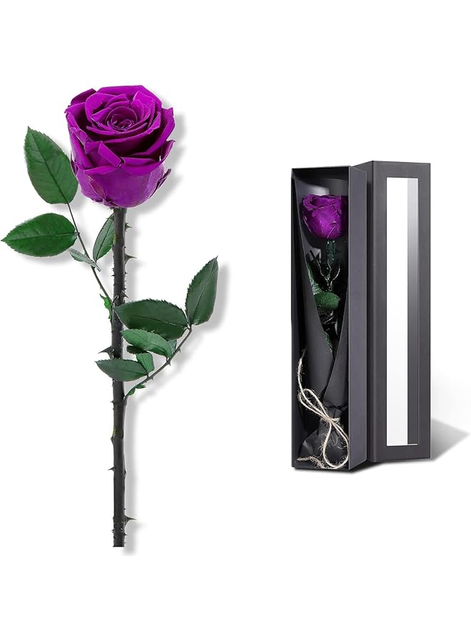 The Bros Preserved Rose Eternal Enchanted Rose, Single Rose Flower Gifts for Women, Real Rose Gifts for Birthday, Valentines Flowers for Female (Purple) - Image 1
