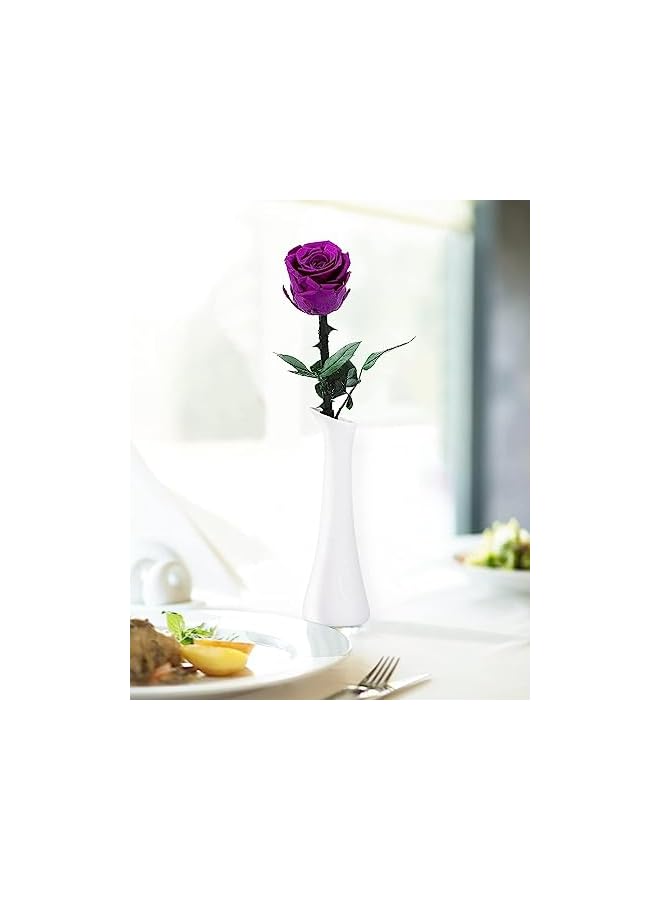 The Bros Preserved Rose Eternal Enchanted Rose, Single Rose Flower Gifts for Women, Real Rose Gifts for Birthday, Valentines Flowers for Female (Purple) - Image 5