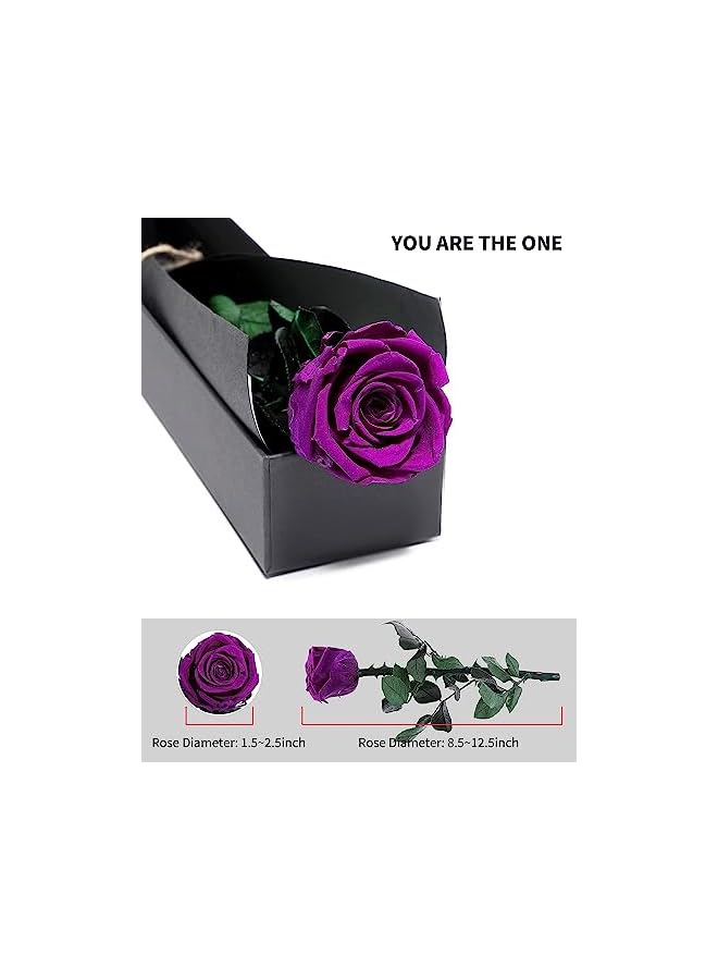 The Bros Preserved Rose Eternal Enchanted Rose, Single Rose Flower Gifts for Women, Real Rose Gifts for Birthday, Valentines Flowers for Female (Purple) - Image 2