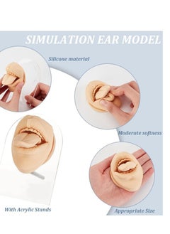 KASTWAVE Silicone Tongue Mouth Model, Flexible Model Body Part Display with Acrylic Stand Lifelike Human Model Simulation for Jewelry Display Teaching Tool Earrings Practice (Skin Color)  - Image 4