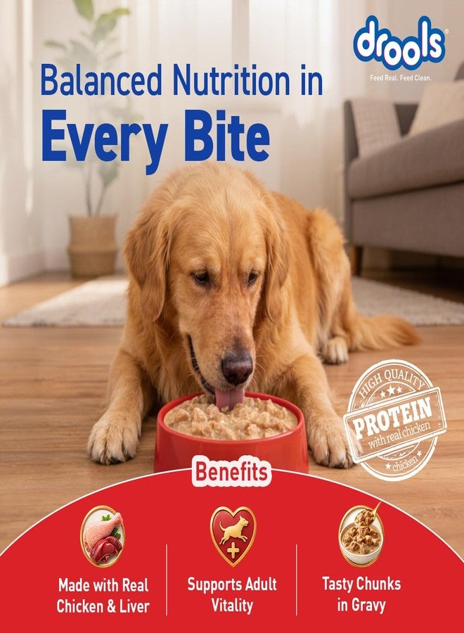 Drools Adult Wet Dog Food 24 Packs (150g X 24) | Real Chicken and Chicken Liver Chunks in Gravy | Support Immunity | Oral Health | Training and Behaviour - Image 4
