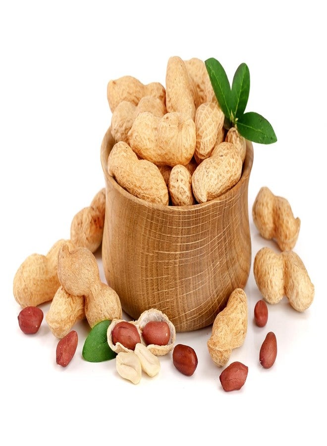 Fruidles Raw Peanuts, 2 Pound Bag Raw Peanuts in Shell, Great for Boiling, Squirrels Feed, Birds Feed and Wildlife - Image 4