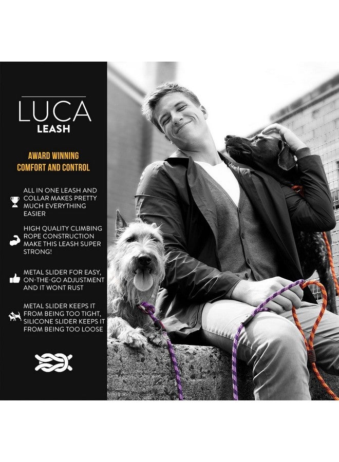 إيزي دوج سلسلة EzyDog Luca Slip Lead مزدوجة الوظائف، حبل متين للكلاب التي تسحب، سلسلة Slip Lead وGentle Lead Head Halter، صغيرة (5.5 قدم × 0.23 قدم، أسود) - Image 2