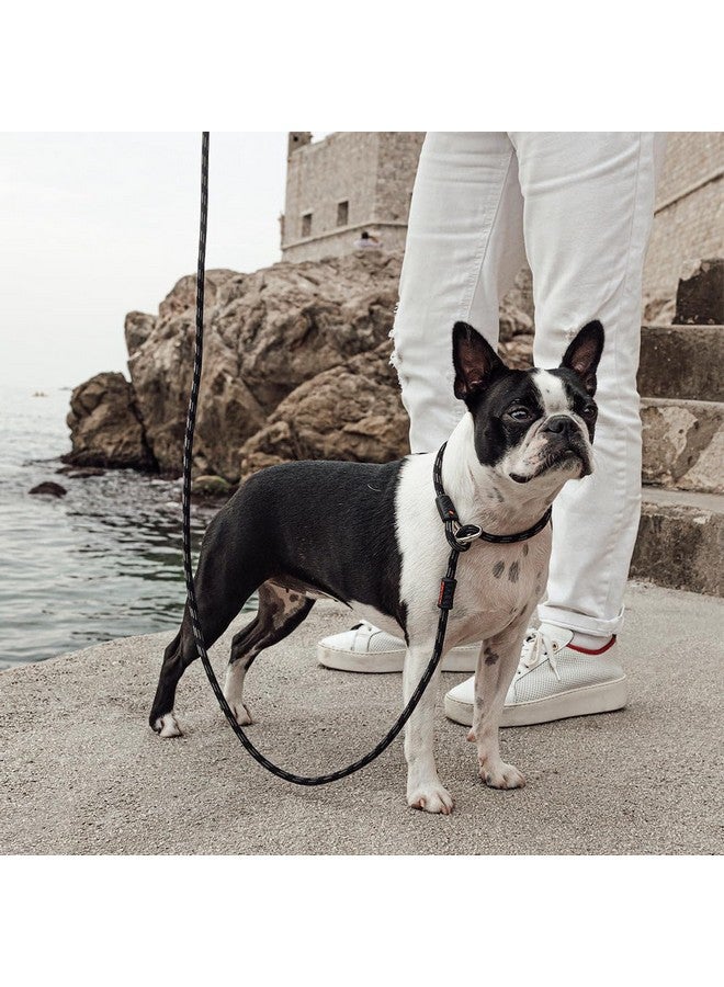 إيزي دوج سلسلة EzyDog Luca Slip Lead مزدوجة الوظائف، حبل متين للكلاب التي تسحب، سلسلة Slip Lead وGentle Lead Head Halter، صغيرة (5.5 قدم × 0.23 قدم، أسود) - Image 5