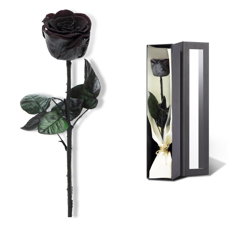 Preserved Rose Preserved Flowers for Delivery Prime Single Rose Flower Gifts for Women Real Rose Gifts for Her Birthday Gifts Valentines Flowers for Girlfriend Black