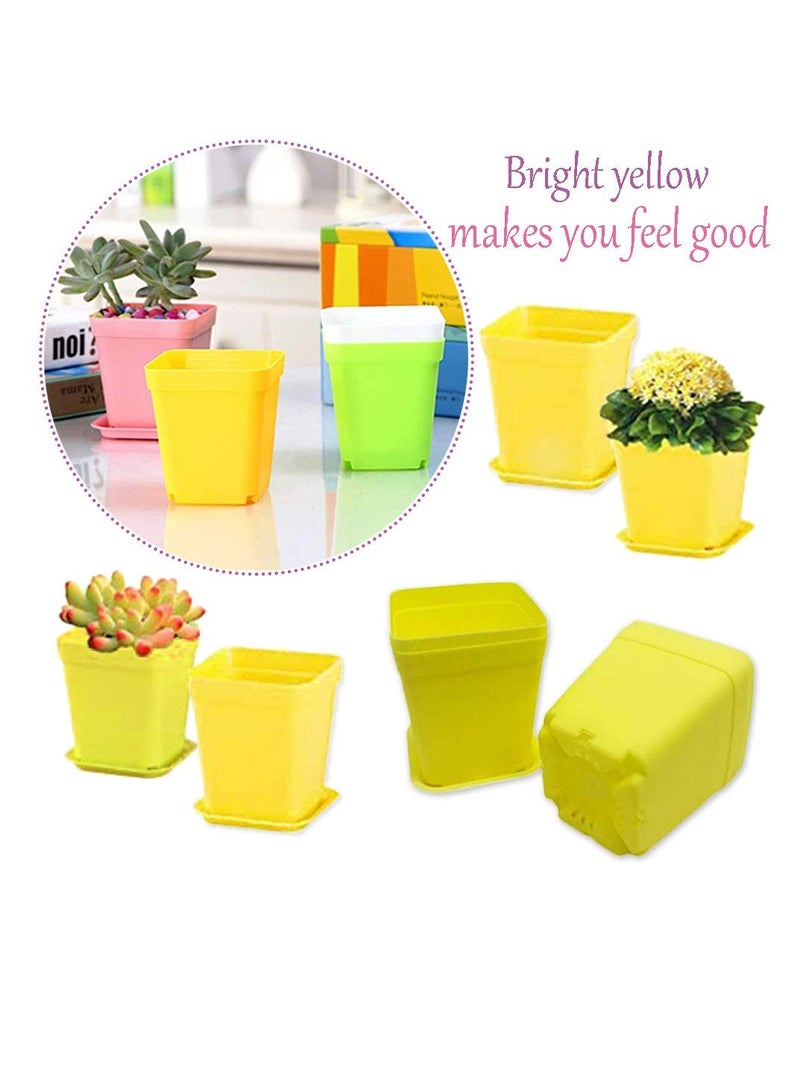 SYOSI Plastic Nursery Seedling Pots, 36Pcs Plastic Square Nursery Pots, 3 Inch Plant Seed Starting Pots, Succulent Square Planter Pot with Saucers, for Room, Office, Garden, Balcony Decor (Yellow) - Image 4