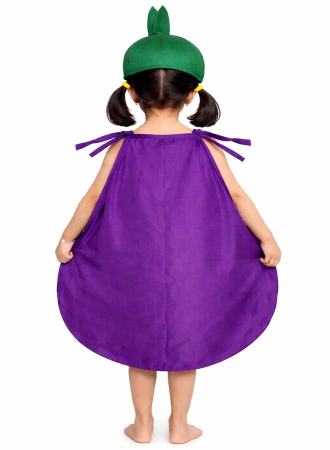 Nic Fruit And Vegetable Fancy Dress Costume For Kids | Fruit Shape Cutout For Childs | Healthy Fruits Dress (Jumpsuit Not Include) (Brinjal, 6-7 Years) - Image 2