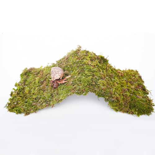 Begeterday Hermit Crab Climbing Toys, 13.5 inch Bendable Climbing Bridge, Ideal Hermit Crab Supplies for 10 Gallon Hermit Crab Tank - Image 3