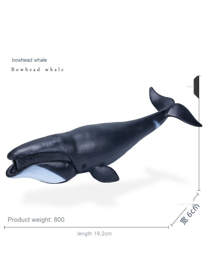 NIBEMINENT Realistic Ocean Creatures Model - Shark and Blue Whale Toy