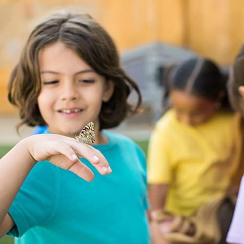 Insect Lore Butterfly Garden with Live Cup of Caterpillars | English and Spanish STEM Activity Journals | 5 Painted Lady Butterfly Baby Caterpillars and Mesh Habitat - Image 4