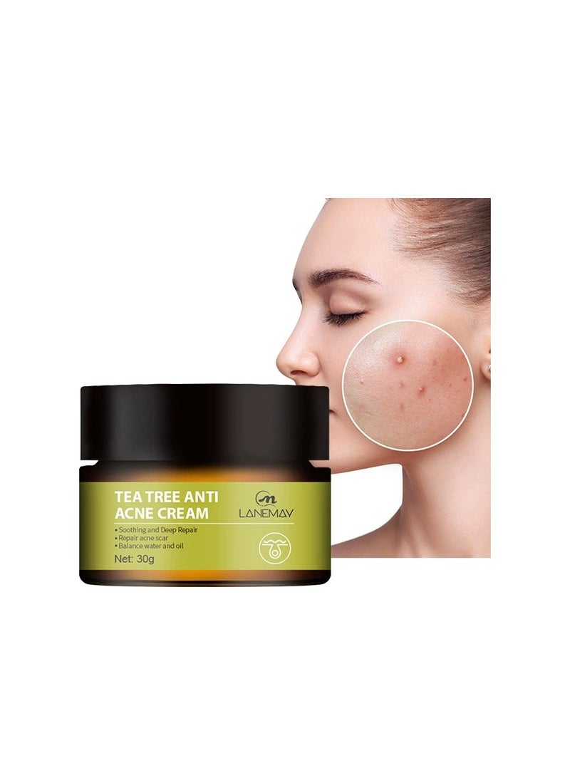 LANEMAY Tea Tree Acne Cream – Anti-Acne Treatment Fade Acne Scars, Pimple Spot Removal Oil Control Soothing Repair Cream - Image 2