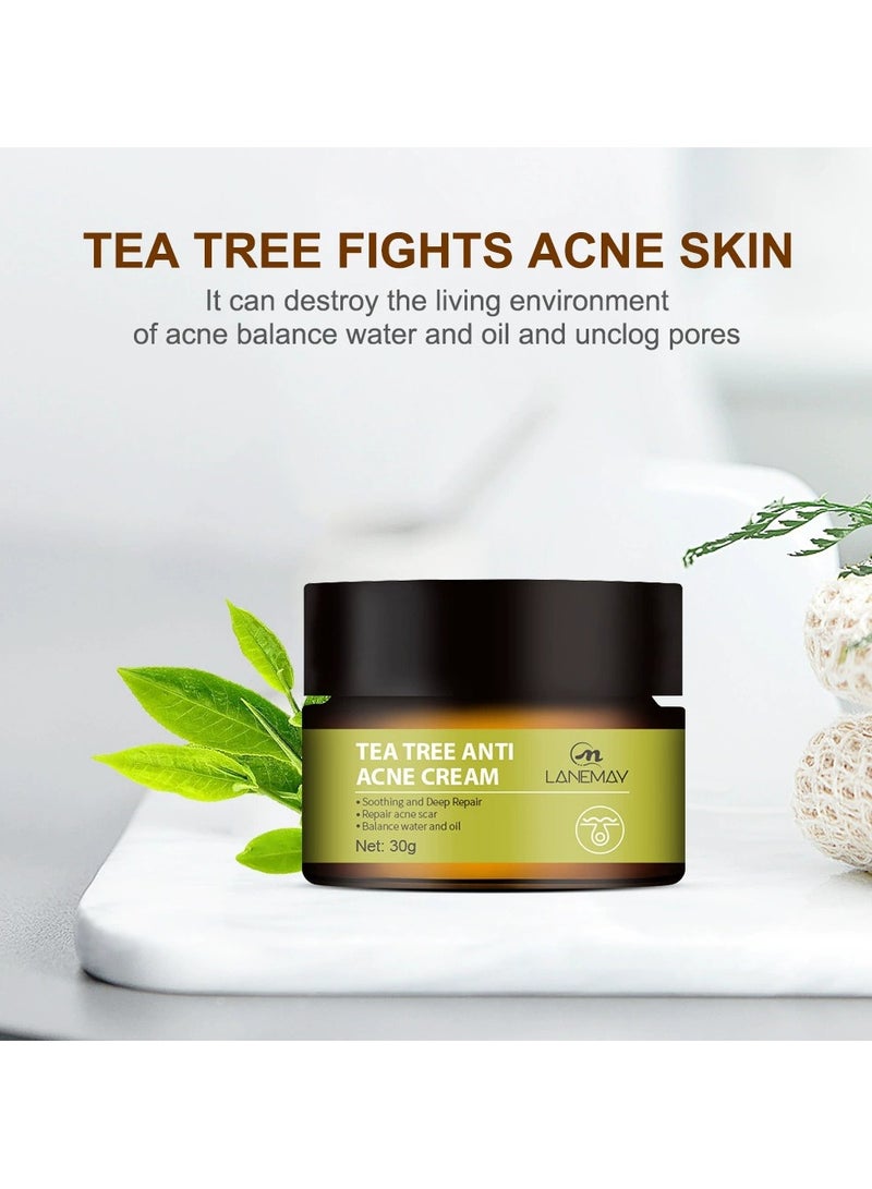 LANEMAY Tea Tree Acne Cream – Anti-Acne Treatment Fade Acne Scars, Pimple Spot Removal Oil Control Soothing Repair Cream - Image 4