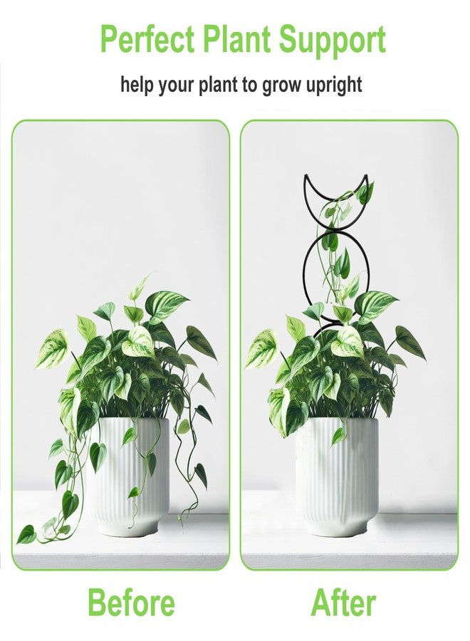 HENABLE Indoor Climbing Plant Trellis - Image 5
