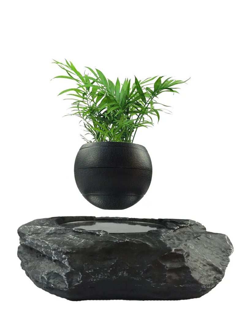 Generic New design magnetic floating air plants bonsai Table decoration  - Image 1