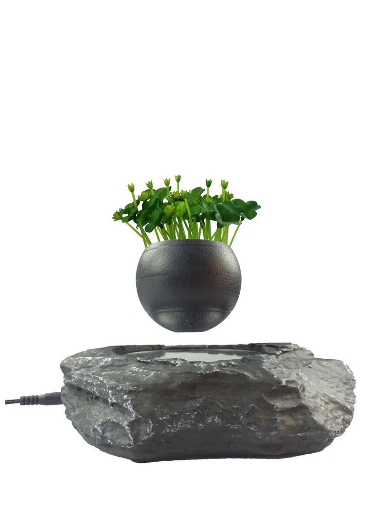 Generic New design magnetic floating air plants bonsai Table decoration  - Image 2
