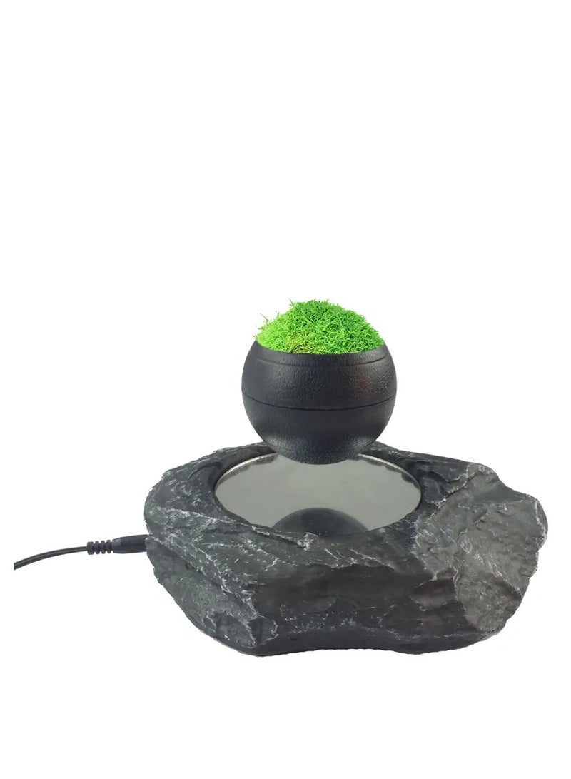 Generic New design magnetic floating air plants bonsai Table decoration  - Image 3