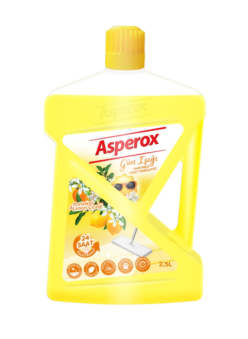 LIQUID SURFACE CLEANER ORANGE & LIMON 2.5L