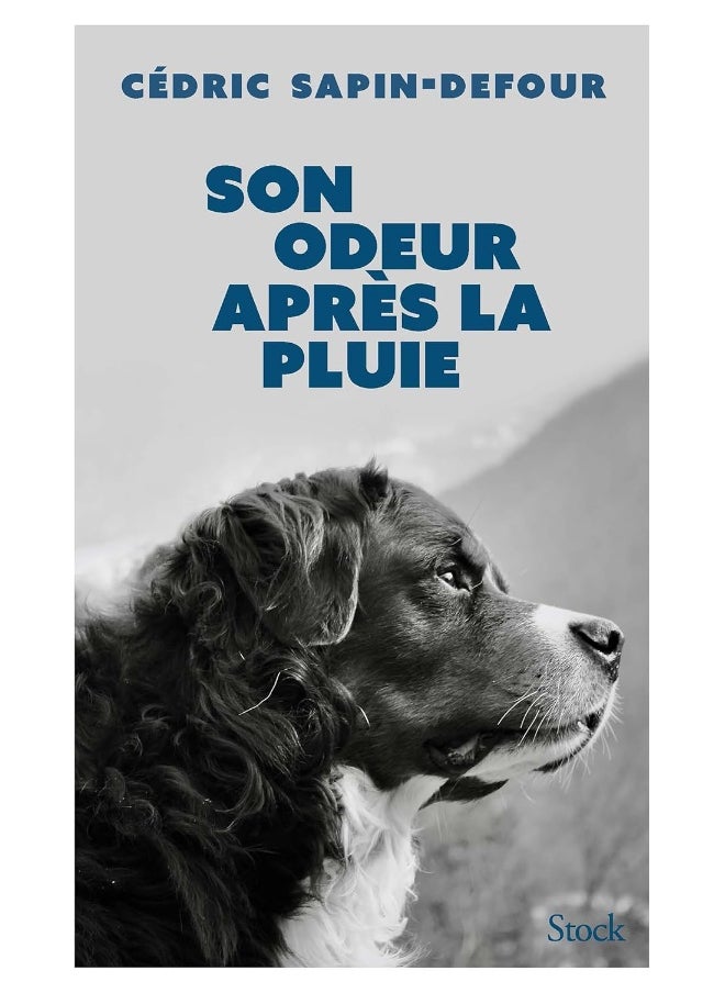 Stock STOCK Son Odeur Après La Pluie 