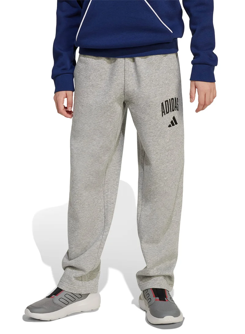 Adidas Youth Seasonal Essential Collegiate Typography Pants