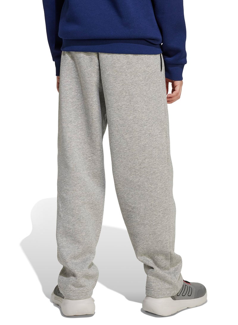 adidas بنطلون شبابي أساسي للموسم بطباعة جامعية - Image 2