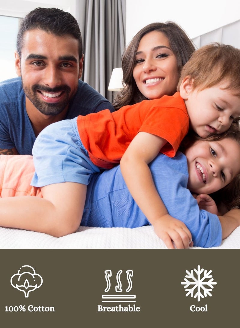 LAUREN Smith غطاء وسادة فاخر مطرز بكثافة 400 خيط من القطن بنسبة 100%، طقم من قطعتين - Image 5