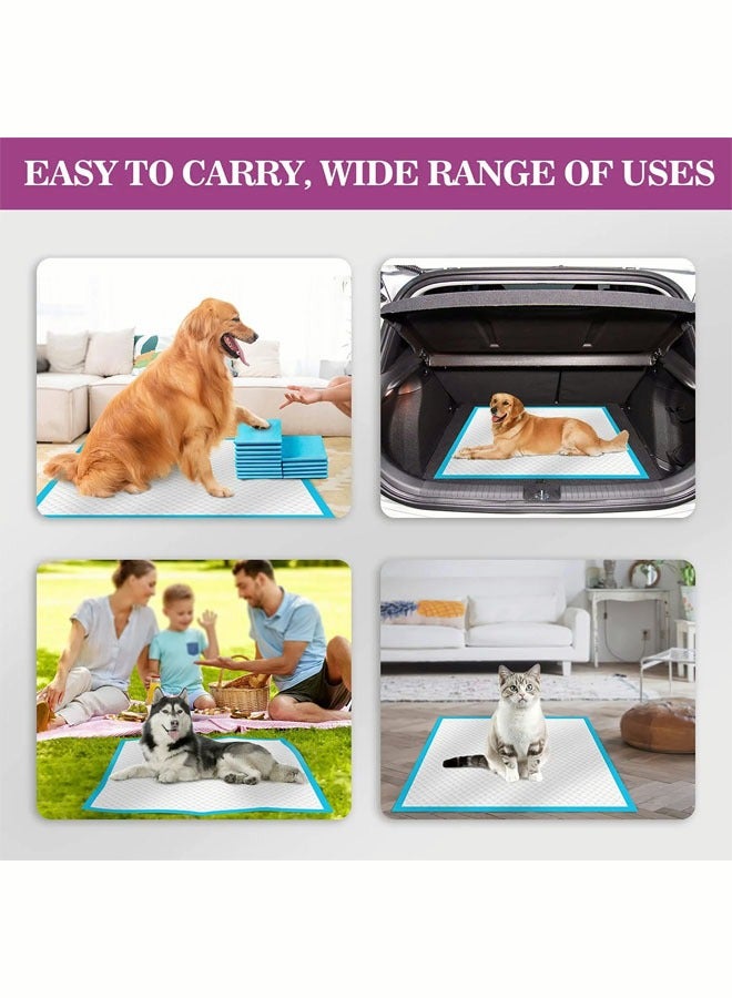 40Pcs Dog Pads Thicker Pet Training and Puppy Pads Super Absorbent Pee Pads for Dogs Leak Proof Dog Potty Training Pads for Puppies Cats Rabbits Pet Pee Pads - Image 5